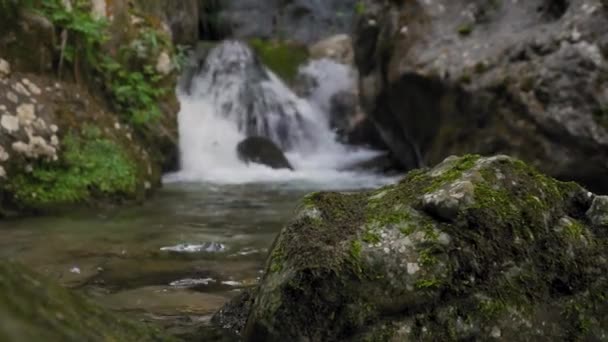 Κοντινό Πλάνο Βράχο Στο Ρέμα Καταρράκτη Στο Παρασκήνιο — Αρχείο Βίντεο