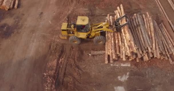 Orbiting Aerial Shot Timber Logging Front Loader Vehicle Dropping Logs — Stock videók