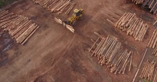 Aerial Shot Descending Tracking Timber Logging Front Loader Vehicle — Stockvideo