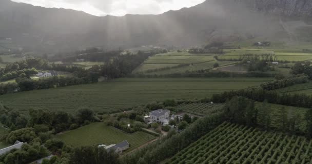 Epic Push Inn Aerial Shot Wine Vineyards Tilts Beautiful House — ストック動画