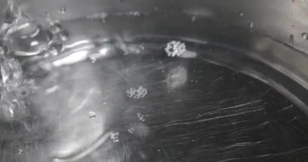 Slow Motion Water Closeup Pet Bowl — Stockvideo