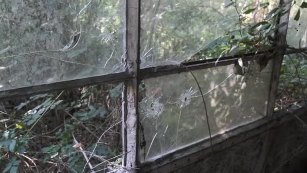 Handheld Shot Bullet Holes Window Abandoned Building — Stockvideo