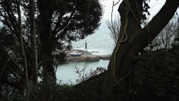 Distant View Trees Verity Statue Standing Harbour Ilfracombe United Kingdom — 비디오