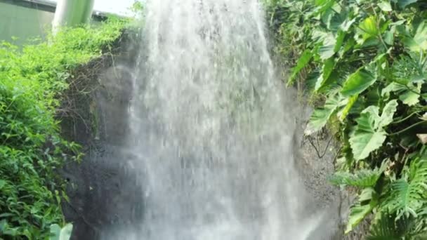 Eden Project Cornwall United Kingdom Refreshing Waterfall Cascade Rainforest Biome — Stockvideo