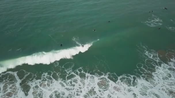 Bird Eye View Surfer Riding Perfect Wave Towan Beach Newquay — Stock video