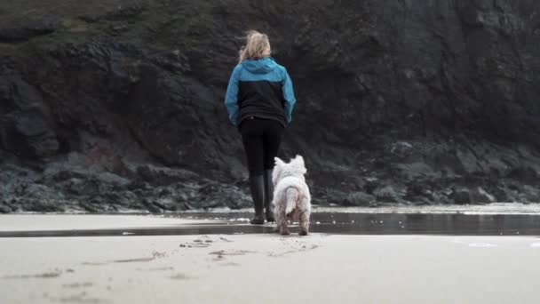 White Terrier Dog Its Owner While Enjoying Morning Coastal Walk — Vídeo de Stock