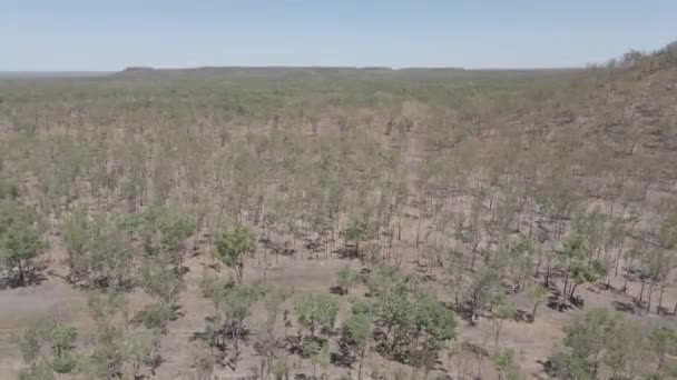 Drone Shot Northern Territory Australian Outback — Stockvideo