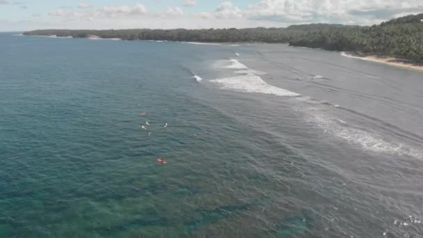 Aerial Drone View Surfers Waiting Perfect Wave Break Paradise Island — Stock Video