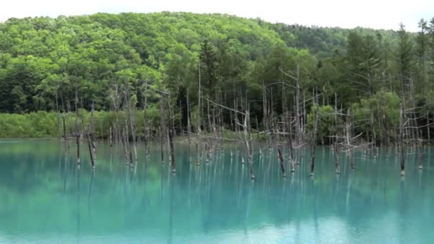 Famous Tourist Attraction Shirogane Blue Pond Biei Japan Pan Right — Stock video