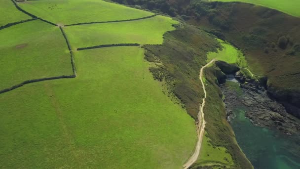Beautiful Green Landscape Port Isaac Town England Aerial — Stok video