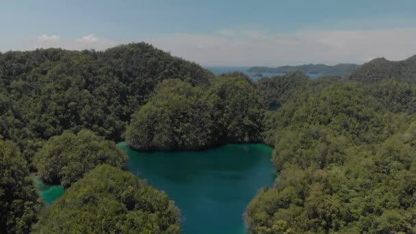 Beautiful Aerial Drone Shot Sohoton Natural Park Siargao Island Philippines — Vídeos de Stock