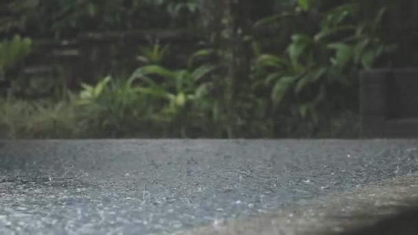 Wet Jungle Rain Infinity Pool Balinese Jungle Slow Motion Rain — Stock video
