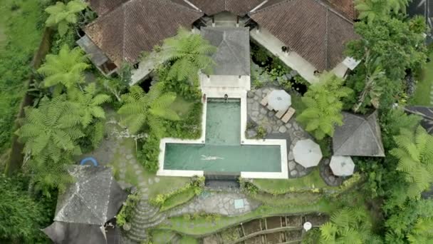 Man Swims Pool Bali Villa Travel Drone — Stockvideo