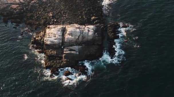 Stunning Shot Deep Blue Ocean Foamy Waves Splashing Slow Motion — Video