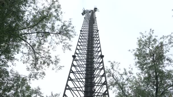 Communications Tower Antenna Tower Branches Trees Connection Close Shot — Wideo stockowe