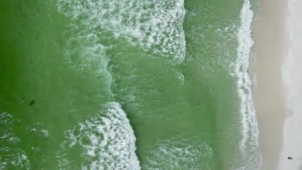 Vertical Zen Nature Concept Relaxing Beach Paradise Aerial Drone Overhead — Vídeo de stock