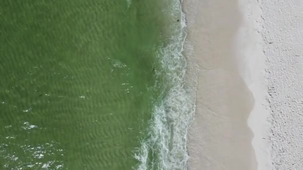 Escaping World Concept Tropisch Zandstrand Aan Golfkust Van Florida Luchtdrone — Stockvideo