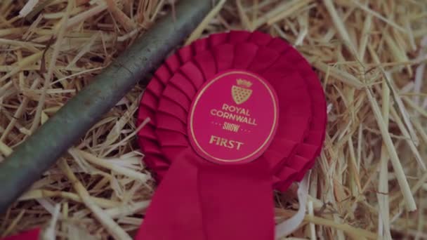 Silky Red Rosette Award Ribbon Tagged First Royal Cornwall Show — Αρχείο Βίντεο