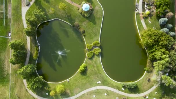 Water Ponds Beautiful Green Landscape Overhead Aerial Drone Top View — Vídeos de Stock