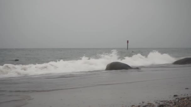 Big Marine Seal Going Water Breaking Waves Horsey Gap Norfolk — Αρχείο Βίντεο