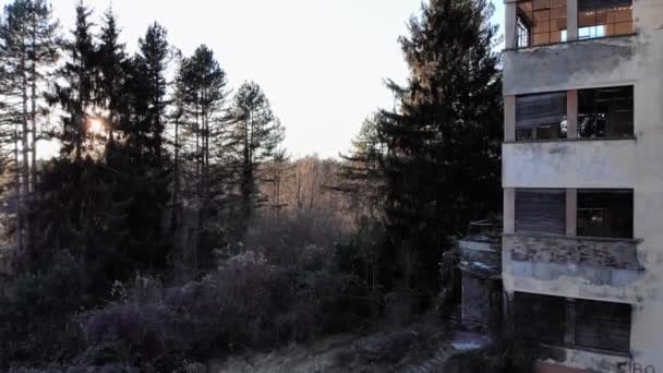 Trees Abandoned Building Sun Backlight Optical Flares Point View Slowly — Video Stock