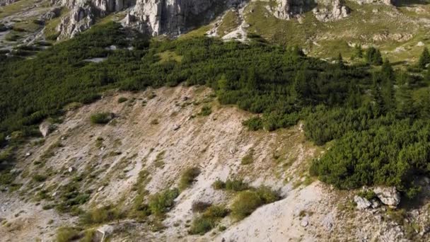 Aerial View Val Gardena Dolomites Italy Scenic Green Valley Summer — Vídeos de Stock
