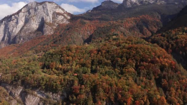 Aerial Overview Colorful Forest Autumn — стоковое видео