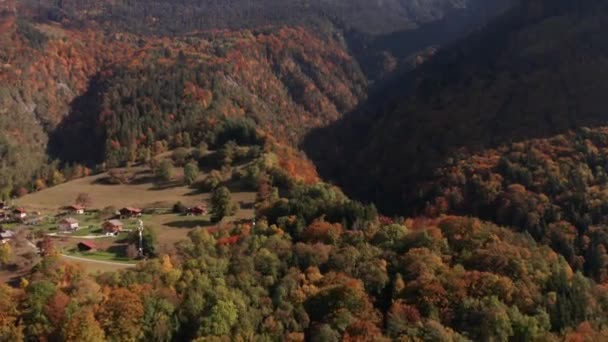 Luchtfoto Omhoog Van Mooi Kleurrijk Bos Herfst — Stockvideo