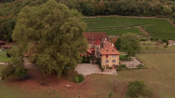 Aerial Reveal Monumental Buildings Large Tree Rural Switzerland — Wideo stockowe