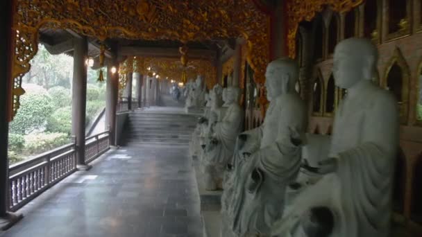 Reihe Von Buddha Statuen Bai Dinh Pagode Tempel Ein Beliebter — Stockvideo