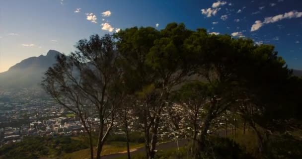 Drone Neergeschoten Bomen Onthullen Tafelberg Kaapstad Zuid Afrika Morgens Licht — Stockvideo