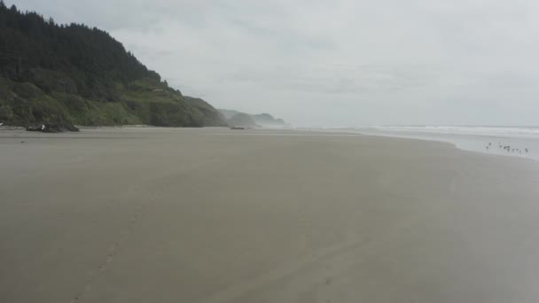 Langsame Kamerafahrt Vom Weitläufigen Leeren Strand Der Küste Von Oregon — Stockvideo