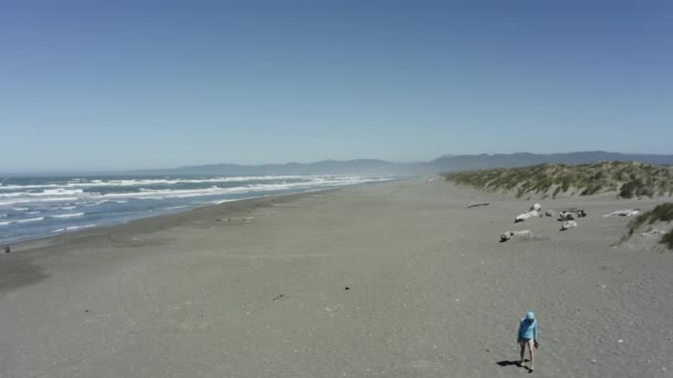 Person Walking Alone Wide Open Beach — Stok video