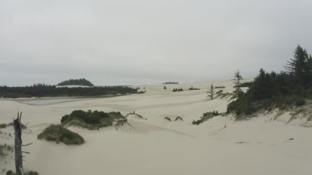 Slow Tracking Shot Oregon Sand Dunes — Stok video