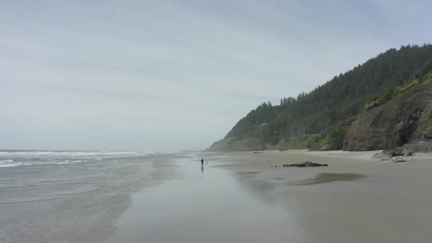 Wide Tracking Shot Person Walking Ocean Beach Dog — ストック動画