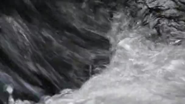 Close Abundant River Stream Splashing — Video Stock