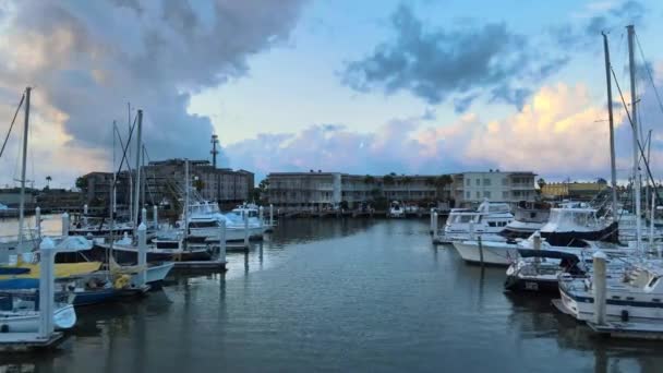 Sunrise Marina Drone Footage — Vídeo de Stock