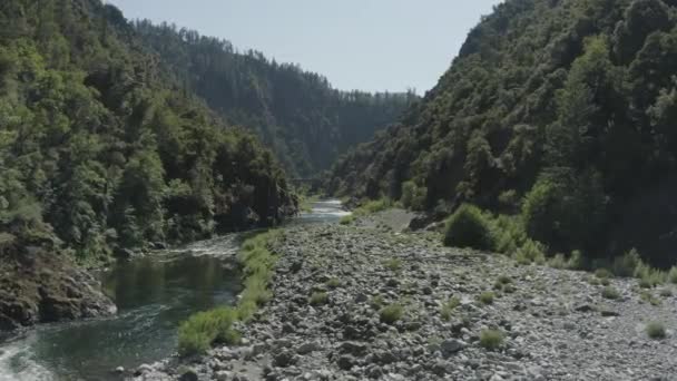 Slow Drone Flight Rocky River Surrounded Lush Forest — Stock video