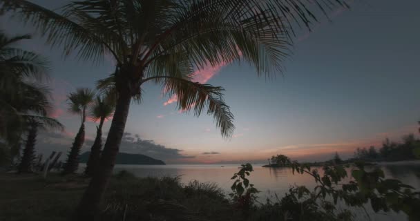 Time Lapse Sunset Palm Trees Front Sea View — Stok video