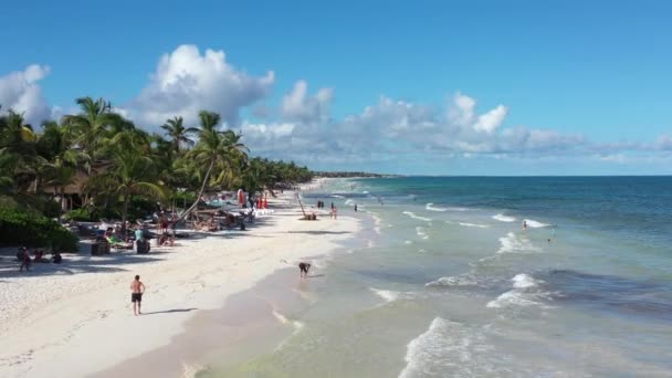 Low Altitude Forward Tracking Aerial Drone Shot Caribbean Tropical Beach — Vídeo de Stock
