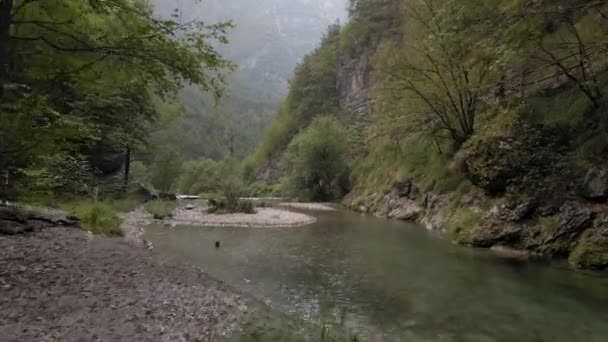 Fluxo Rio Montanha Límpido Através Paisagem Montanhosa Intacta Área Perdida — Vídeo de Stock