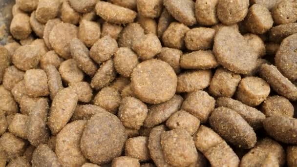 Nutritious Dry Dog Food Nibble — Stockvideo