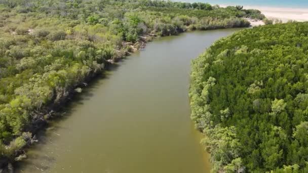 Low Drone Footage Buffalo Creek Green Bushland River Lee Point — 图库视频影像