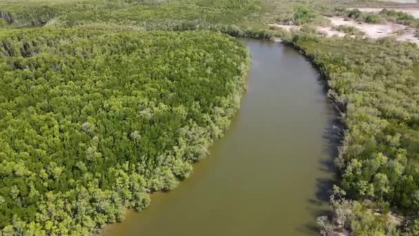 Aerial Drone Shot Buffalo Creek Dense Green Bushland Darwin Northern — Stockvideo
