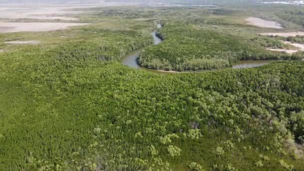 Υψηλά Εναέρια Drone Shot Από Swampy Νερό Και Bushland Κοντά — Αρχείο Βίντεο