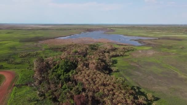 Безпілотний Літальний Апарат Green Swamp Blue Water Holmes Jungle Nature — стокове відео