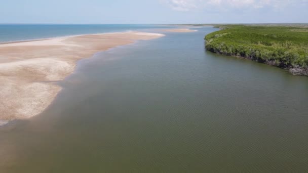 High Aerial Drone Shot Sandy Beach Ocean Bushland Darwin Northern — Stockvideo