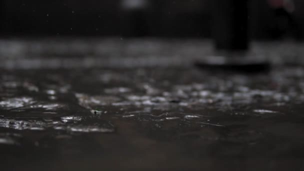 Rain Drops Falling Ground Close Droplets Splashing Stone Surface — 图库视频影像
