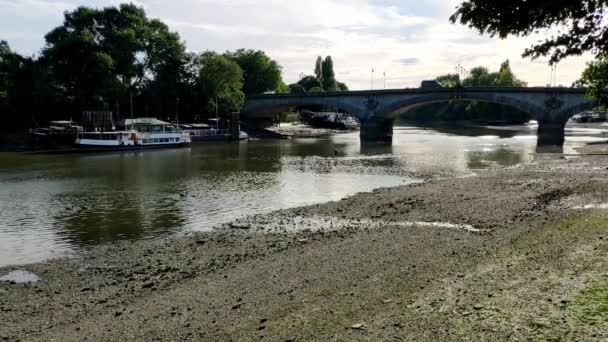 Rivière Thames Marée Basse Une Journée Été Ensoleillée Près Coucher — Video