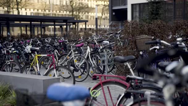 Bikes Parking Infront University Muenster Germany — Stockvideo